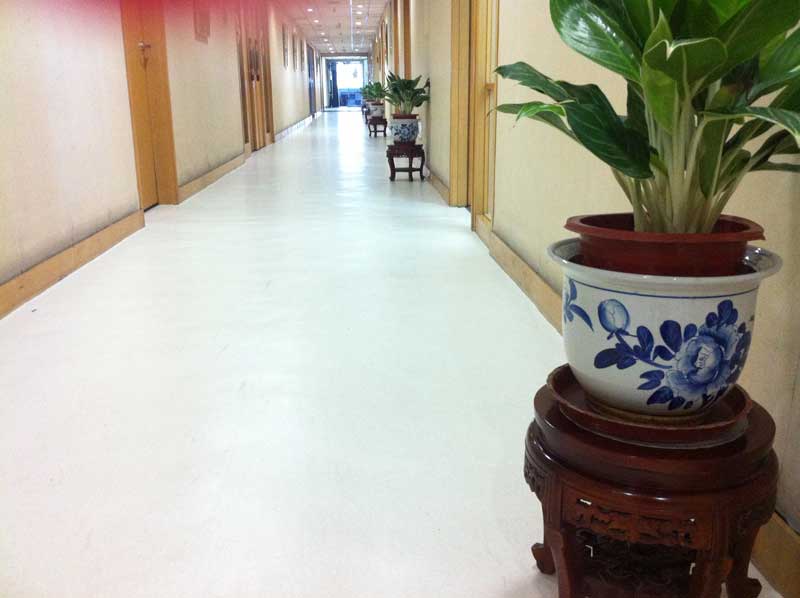 中国广告联合总公司办公室香蕉视频污版免费下载