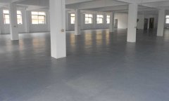 北京师范大学学校塑胶香蕉视频污版免费下载