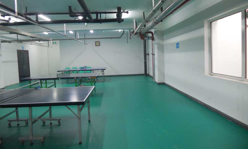 北京市丰台区乒乓球地胶 北京市丰台区乒乓球地胶