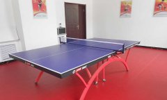 乒乓球香蕉视频污版免费下载多少钱一平方米