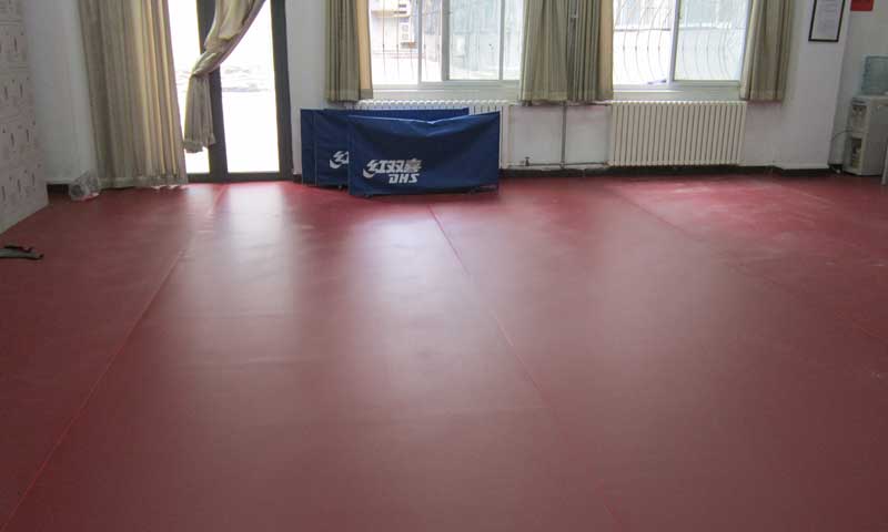 北京海淀师范大学乒乓球香蕉视频污版免费下载 北京海淀北京师范大学乒乓球pvc香蕉视频污版免费下载