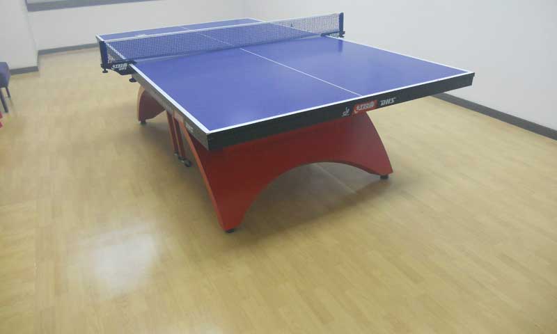 湖北武汉江城乒乓球地胶 湖北武汉江城乒乓球地胶