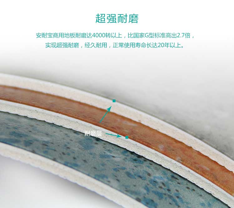 安发松树林·商用香蕉视频污版免费下载