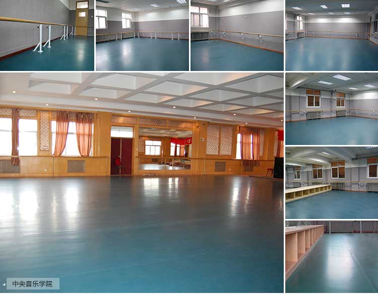 舞彩系列舞蹈地胶 舞彩系列·舞蹈香蕉视频污版免费下载_舞台香蕉视频污版免费下载