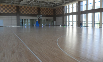 运动香蕉视频污版免费下载